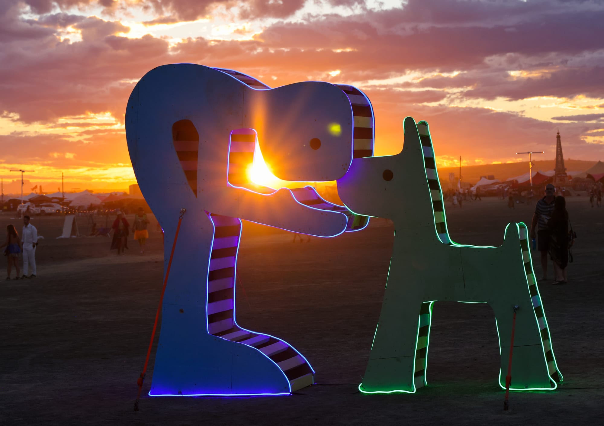 Quagga Landing Afrikaburn